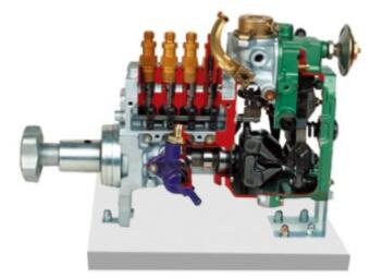直列喷射泵解剖模型(RSV)